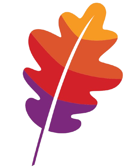 Apache Fluss logo